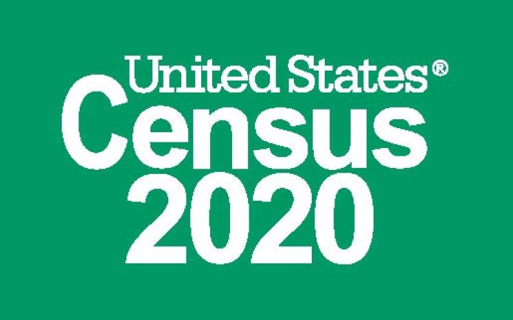 census 2020 information